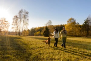Dog Friendly Caravan Parks UK: Top Holiday Parks Your Pet Will Love 1 dog friendly caravan parks uk people walking over fields