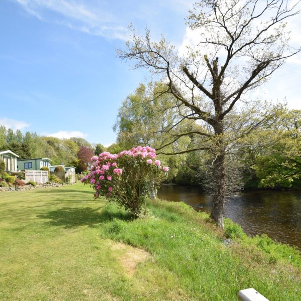 Dolgead hall caravan & lodge park