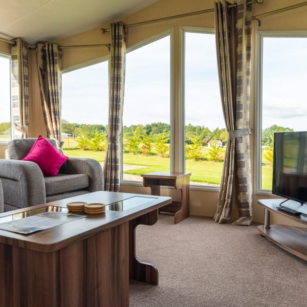 9980968661295656loungeview