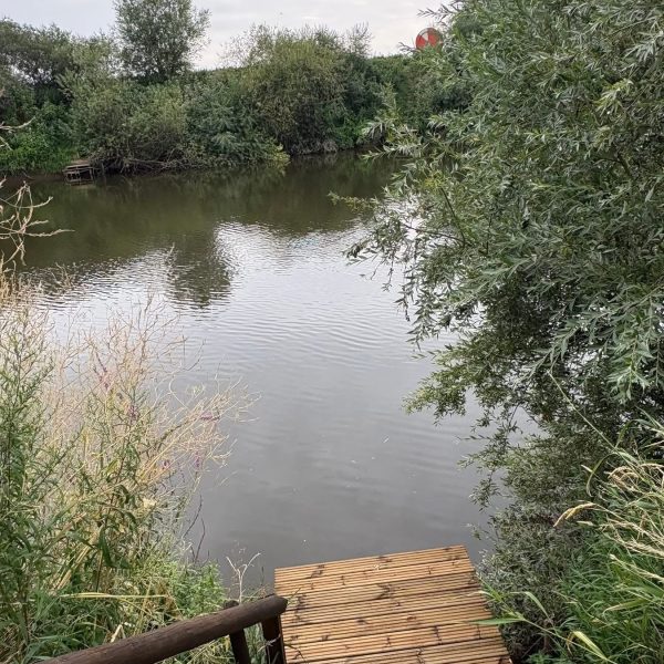 Serene riverbank with wooden steps