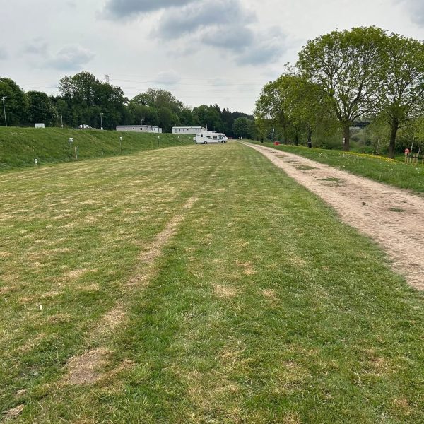 Wide grassy path with trees nearby