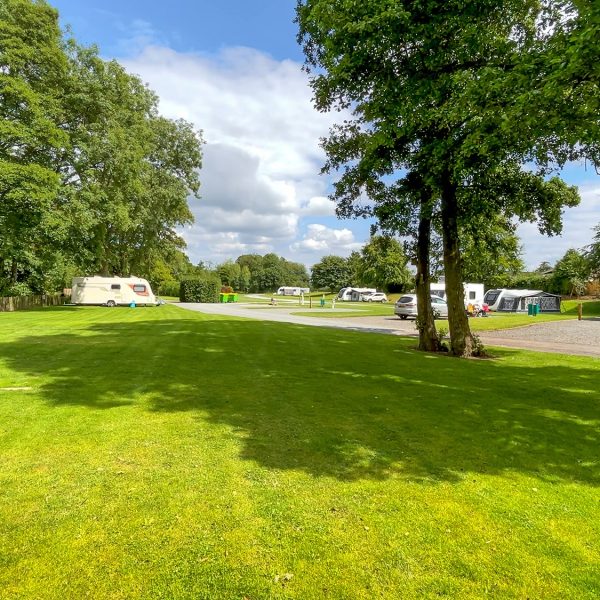 Lush green campsite with caravans.