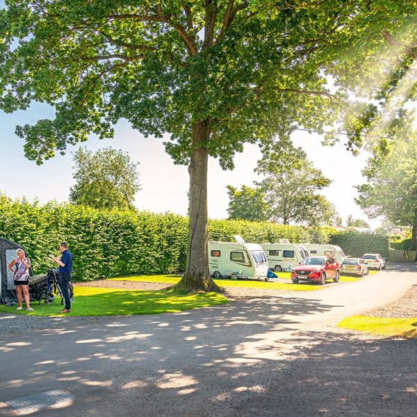 Caravans parked under sunny trees