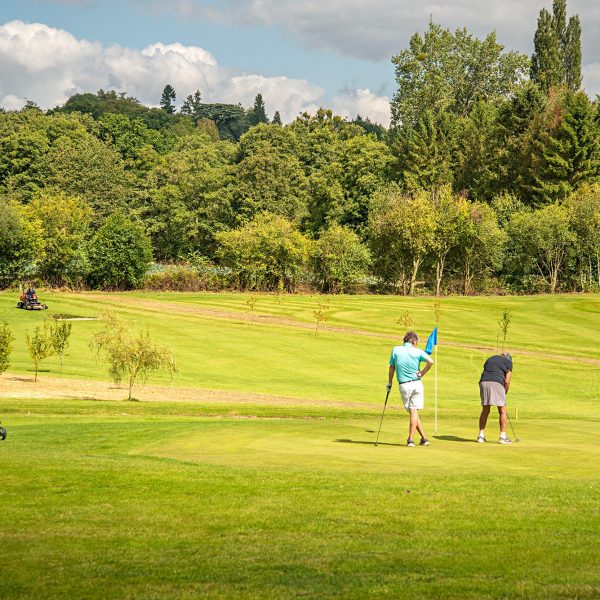 Two golfers on a green course